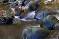 /album/vizek/img-9232-jpg/