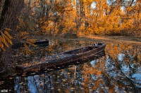 /album/vizek/img-8263-jpg/