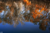 /album/vizek/img-43921-jpg/