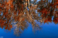 /album/vizek/img-43981-jpg/