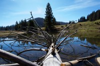 /album/vizek/img-5189-jpg/