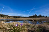 /album/vizek/img-5402-jpg/