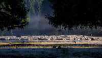/album/emberek-vilaga/img-5233-editkicsi-jpg/