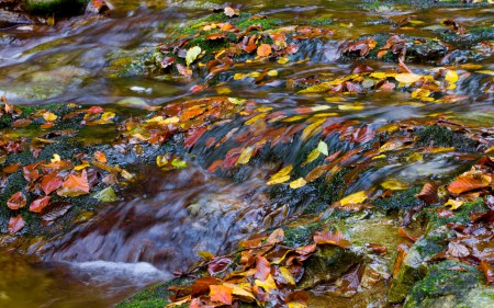 Elmulás...a rohanó világban...